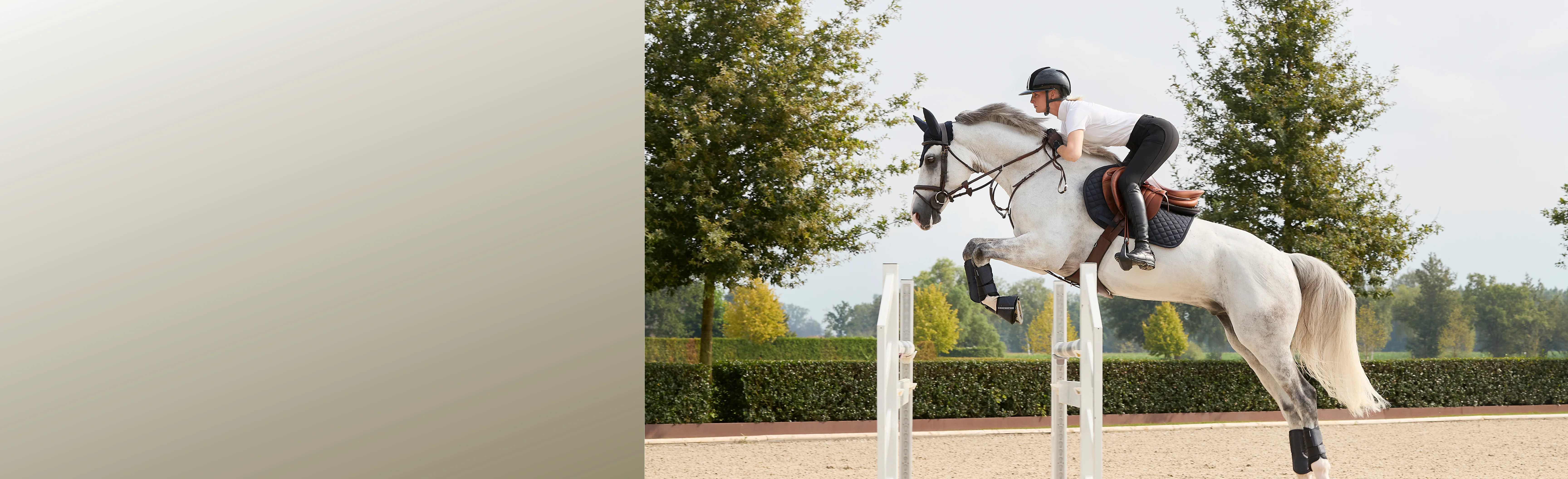Elevate Your Equestrian Excellence